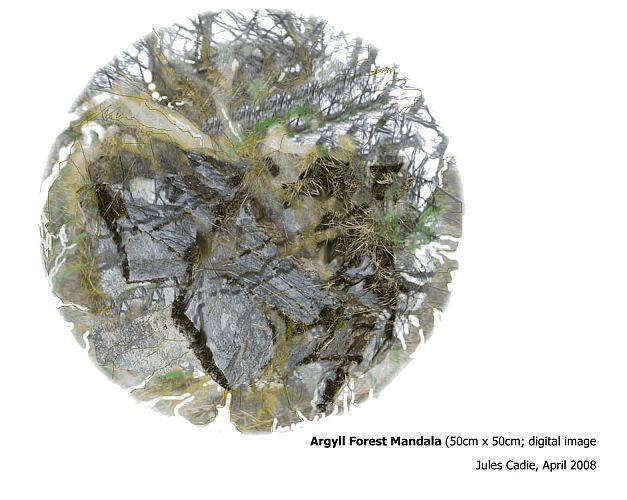 Argyll Forest mandala